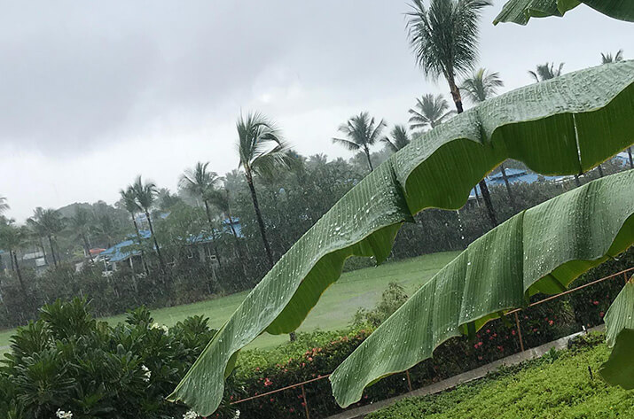 Regen Regen